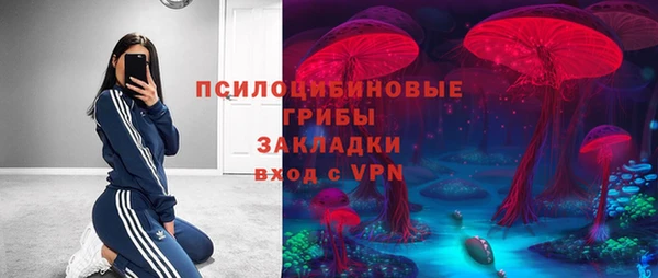 СК Армянск