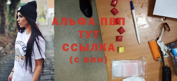 прущие грибы Аркадак