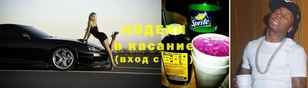 прущие грибы Аркадак