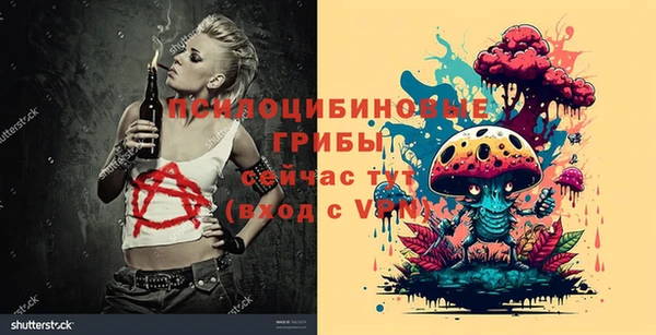 mdpv Арсеньев