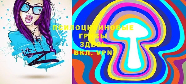 прущие грибы Аркадак