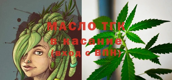 прущие грибы Аркадак